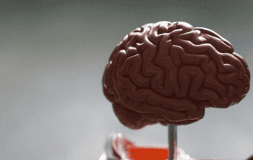 What You Need To Know About Becoming A Psychology Major